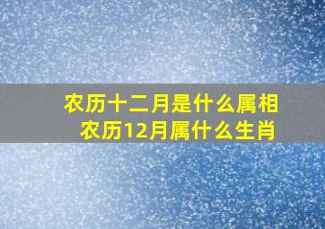 农历十二月是什么属相,农历12月属什么生肖