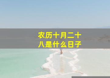 农历十月二十八是什么日子