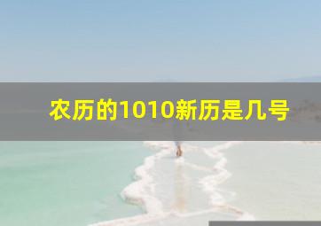 农历的1010新历是几号