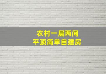 农村一层两间平顶简单自建房