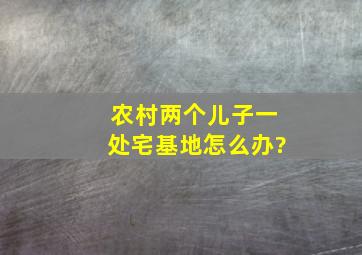 农村两个儿子一处宅基地怎么办?