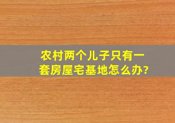 农村两个儿子只有一套房屋宅基地,怎么办?