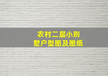 农村二层小别墅户型图及图纸