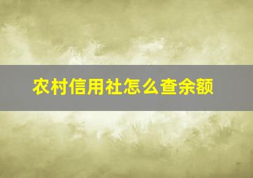 农村信用社怎么查余额