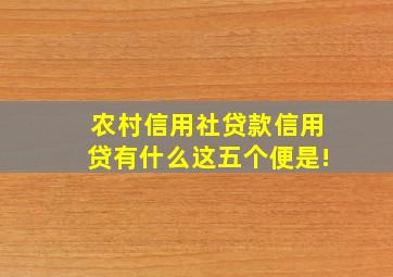 农村信用社贷款信用贷有什么这五个便是!