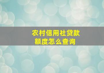 农村信用社贷款额度怎么查询 