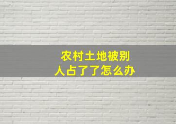 农村土地被别人占了了怎么办