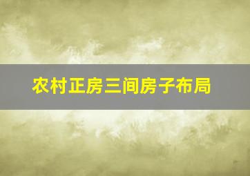 农村正房三间房子布局