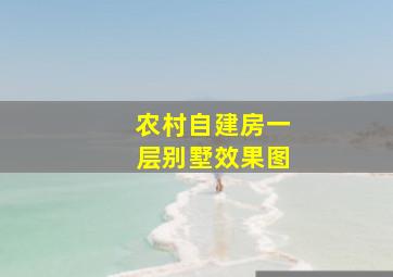 农村自建房一层别墅效果图