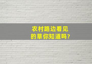 农村路边看见的草你知道吗?