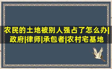 农民的土地被别人强占了怎么办|政府|律师|承包者|农村宅基地