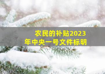 农民的补贴2023年中央一号文件标明