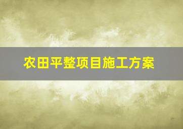 农田平整项目施工方案