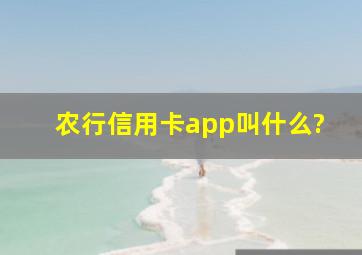 农行信用卡app叫什么?