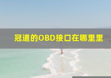 冠道的OBD接口在哪里里