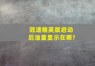 冠道精英版启动后油量显示在哪?