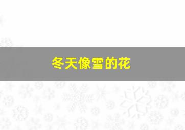 冬天像雪的花(