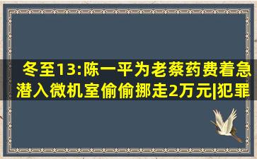 冬至13:陈一平为老蔡药费着急,潜入微机室,偷偷挪走2万元|犯罪片|航海...