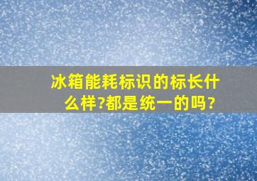 冰箱能耗标识的标长什么样?都是统一的吗?