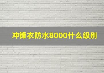 冲锋衣防水8000什么级别