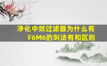 净化中效过滤器为什么有F6M6的叫法有和区别