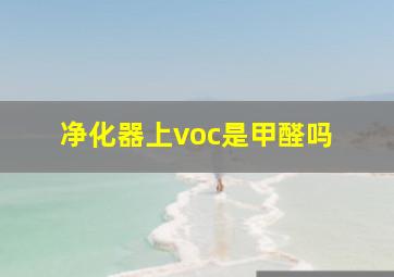 净化器上voc是甲醛吗 