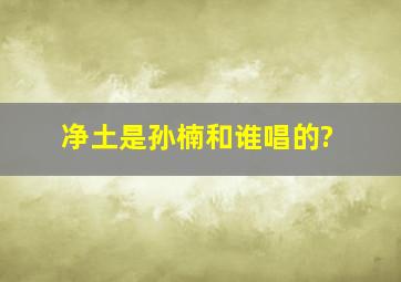 净土是孙楠和谁唱的?