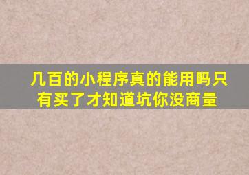 几百的小程序真的能用吗只有买了才知道坑你没商量 