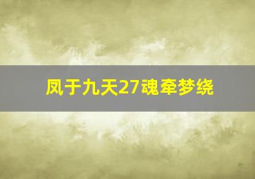 凤于九天27魂牵梦绕