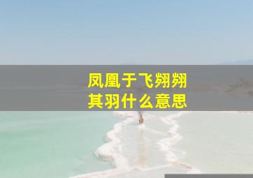 凤凰于飞翙翙其羽什么意思