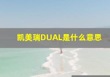 凯美瑞DUAL是什么意思