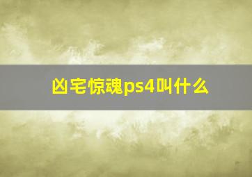 凶宅惊魂ps4叫什么