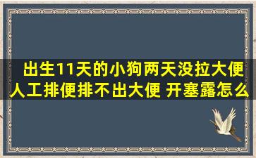 出生11天的小狗两天没拉大便 人工排便排不出大便 开塞露怎么用呢 ...