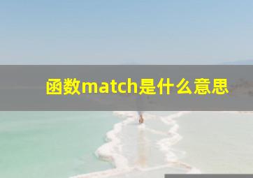 函数match是什么意思