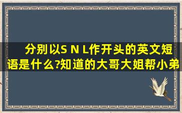 分别以S N L作开头的英文短语是什么?知道的大哥大姐帮小弟一把,是...