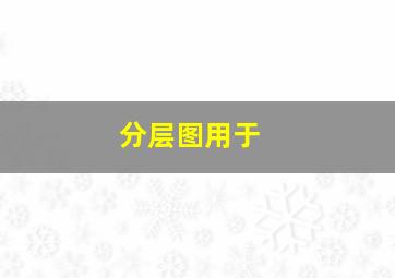 分层图用于( )。