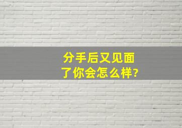 分手后又见面了你会怎么样?