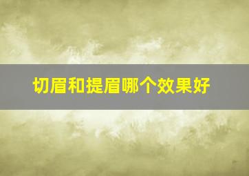 切眉和提眉哪个效果好