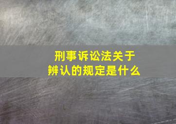 刑事诉讼法关于辨认的规定是什么