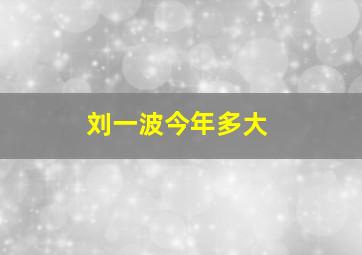 刘一波今年多大