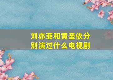 刘亦菲和黄圣依分别演过什么电视剧(