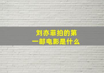 刘亦菲拍的第一部电影是什么(