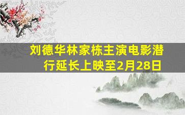 刘德华、林家栋主演电影《潜行》延长上映至2月28日