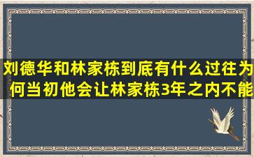 刘德华和林家栋到底有什么过往,为何当初他会让林家栋3年之内不能...