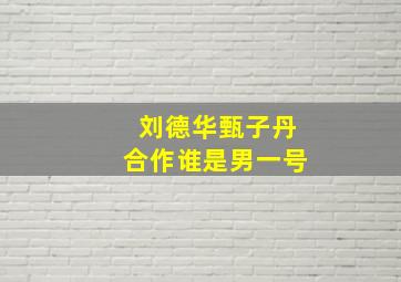 刘德华甄子丹合作谁是男一号