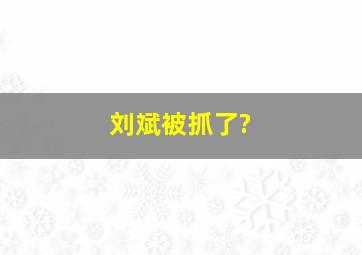 刘斌被抓了?