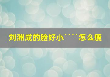 刘洲成的脸好小````怎么瘦