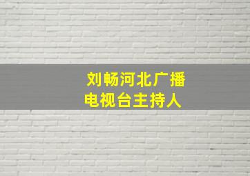 刘畅(河北广播电视台主持人) 