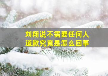 刘翔说不需要任何人道歉究竟是怎么回事(