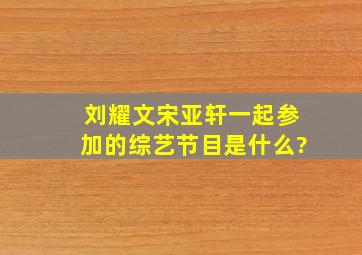 刘耀文宋亚轩一起参加的综艺节目是什么?